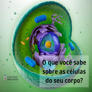 O que você sabe sobre as células do seu corpo?