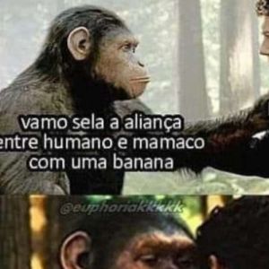 Sabedoria desbalanceada