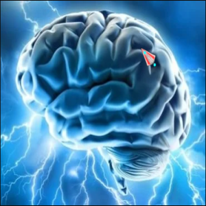 Todos nós temos o cérebro direito ou o cérebro esquerdo?