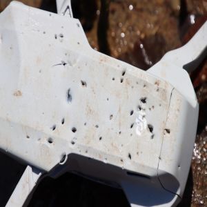 Drone foi atacado por crocodilo no documentário