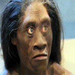 As criaturas estranhas que existiram