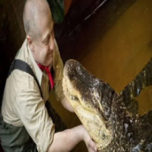 7 animais exóticos que você pode ter legalmente