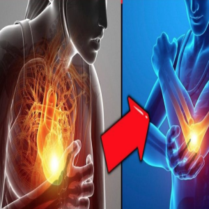 6 sinais de que o seu corpo mostra de infarto um mês antes e você nem imaginava