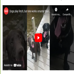 Quando você faz o serviço e outro quem recebe o mérito