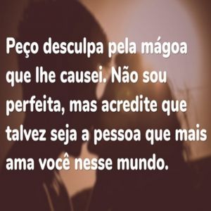 Peço desculpa pela mágoa que lhe causei