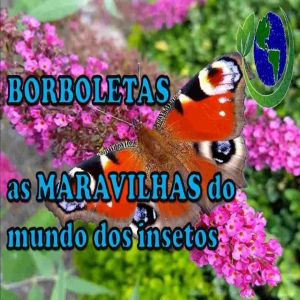 Borboletas: as maravilhas do mundo dos insetos