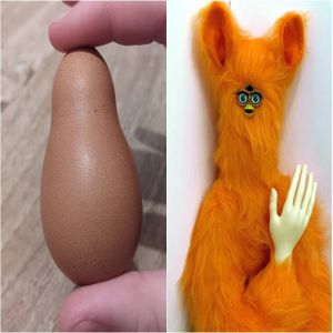 14 coisas que parecem ter vindo de uma realidade diferente