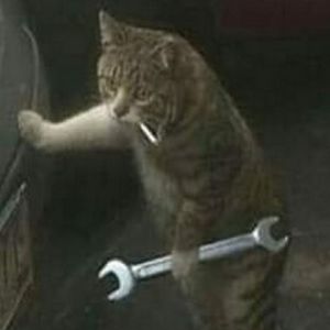 Trabalhar pra comprar whiskas