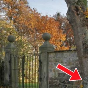 Você consegue achar a mulher escondida? Somente algumas pessoas são capazes!