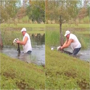 Idoso luta contra jacaré para salvar seu cachorro