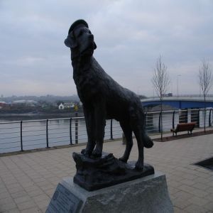 Os maiores guerreiros do mundo animal #8