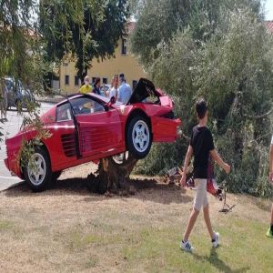O motorista derrubou a Ferrari em uma árvore enquanto gravava um vídeo para a web