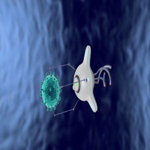 Nova ferramenta permite projetar nano-robots de DNA em minutos