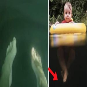 Você tem talassofobia? Se essas fotos te incomodam, provavelmente você sofre disso