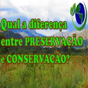 Qual a diferença entre preservação e conservação?