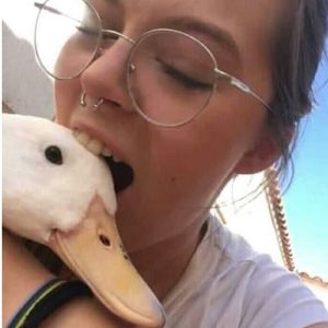 Humanos fazendo coisas humanas