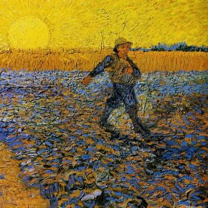 A semente e o coração