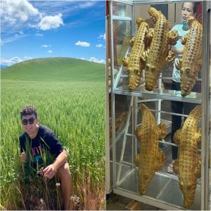 13 Itens do dia a dia que chamam nossa atenção quando vistos com uma nova perspectiva