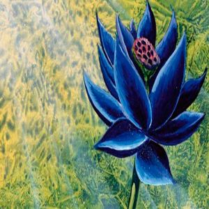 Magic: The Gathering carta Black Lotus é vendida por R$ 2,8 milhões