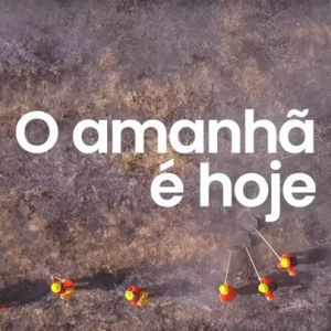 Os efeitos causados pelas mudanças climáticas