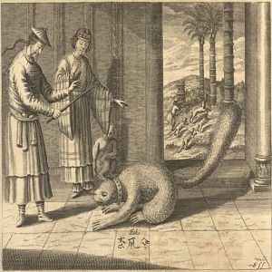 Conheça algumas raças e espécies de felinos que foram extintas