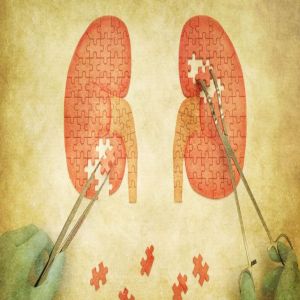 O vinagre de maçã é bom para pedras nos rins?