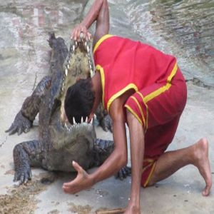 Confira algumas vezes que pessoas burras fizeram coisas burras