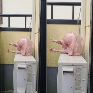 13 Fotos que vão enganar seus olhos da melhor forma possível