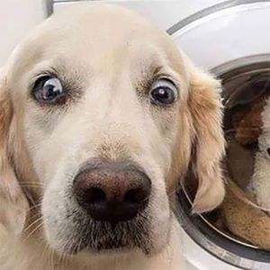 Será que eu sou o próximo?