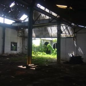 Salmo de Lamento - 2ª parte