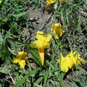 Conselhos bíblicos sobre a reputação