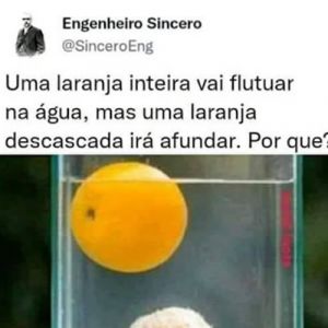A lógica da laranja