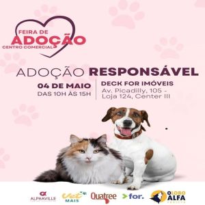 Feira de adoção de cães e gatos acontece neste sábado, na Lagoa dos Ingleses