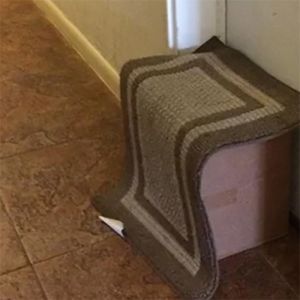 Quando o entregador não encontra ninguém em casa