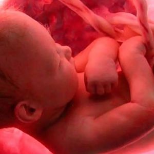 O remédio contra o aborto é o amor de Deus, que nossa sociedade tanto precisa