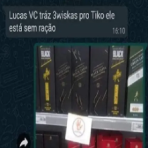 O caso do gato que quase teve uma nova experiência na vida