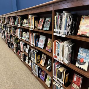 Como Montar uma Biblioteca Geek