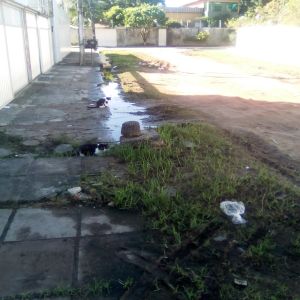 Rua tomada por lama e barro