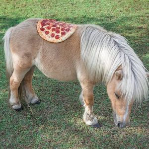 Homem lança pizzas na natureza e chama de arte. Isso é arte?