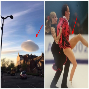 12 fotos nas quais você não vai entender de primeira o que está acontecendo