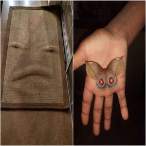 18 Fotos que vão confundir totalmente o seu cérebro