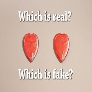 Você consegue adivinhar qual é o verdadeiro e qual é o desenho?