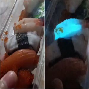 Família tailandesa compra Sushi que brilha no escuro