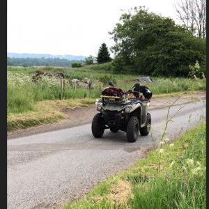 Dono dá ordem e cão faz um trabalho incrível a conduzir dezenas de ovelhas