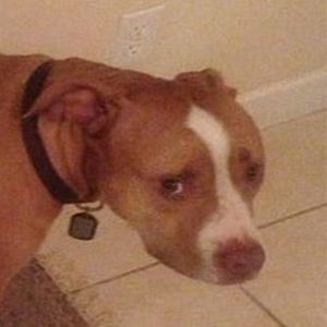 Fui brincar com ele e acabei ficando com dó