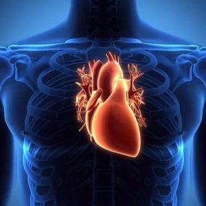 Bradicardia: o que é, sintomas, causas e tratamento