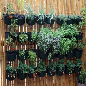 Como Cultivar uma Horta em Espaços Pequenos