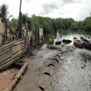 Esgoto despejado no manguezal
