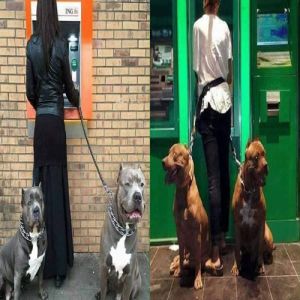 Só segurança de Elite…. a última foto é a melhor