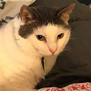 Quando você ver, vai ser difícil 